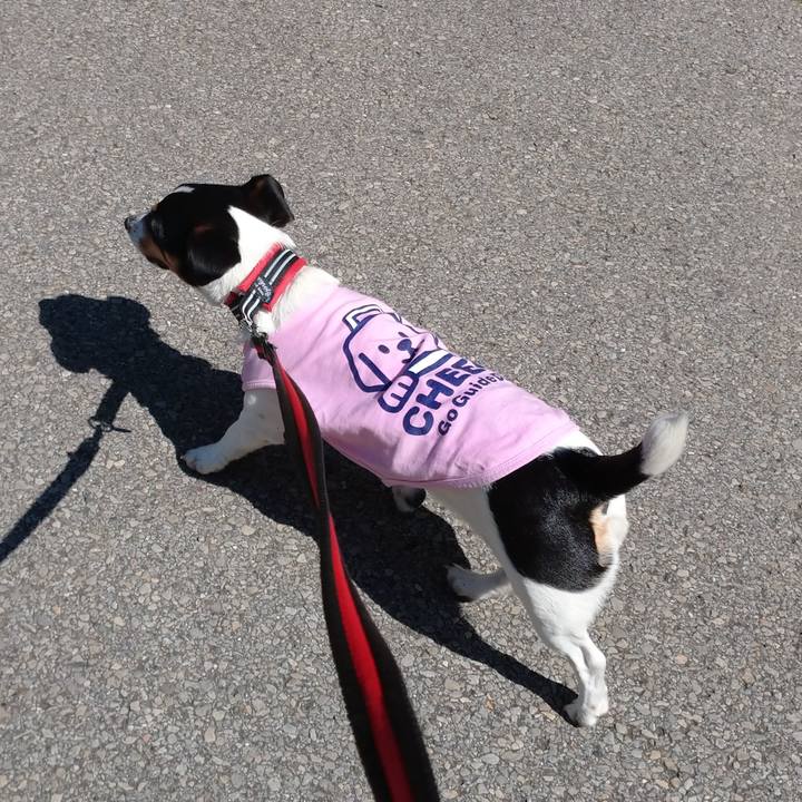 Dad5baa1 9596 4d21 95f0 6f60df3c8aca 1588828587367