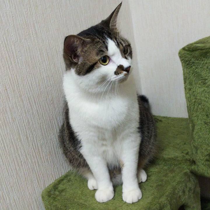 Dad5c4e1 0f16 4502 a1f5 23ca4a6091c9 1633604002300