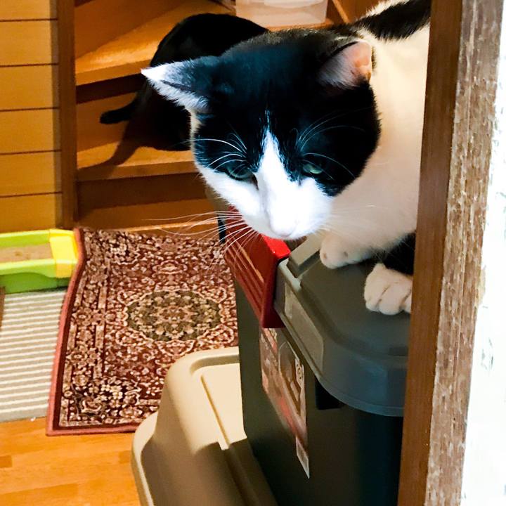 Dad620ea 25be 4d1a b597 9c0f4df85ce4 1509382383089