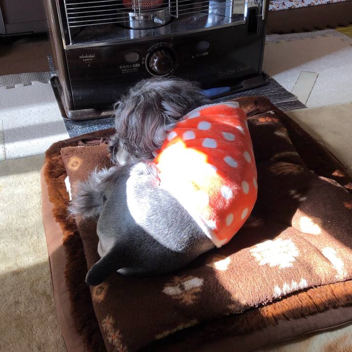 Dad6388e f233 4d57 af94 502582911368 1550378983893