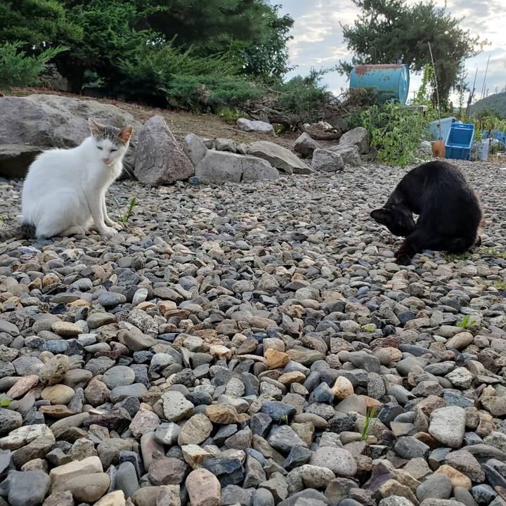 Dad64a7d cc40 4b4a a467 f9960c5fa15d 1694264190242