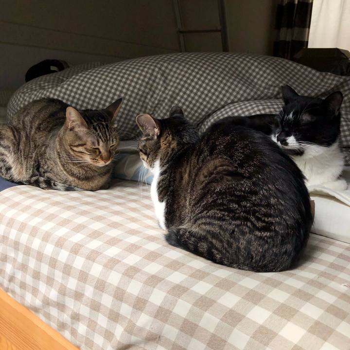 Dad68c25 3ac5 4130 b3ce d9080f2f2c3e 1552021658616