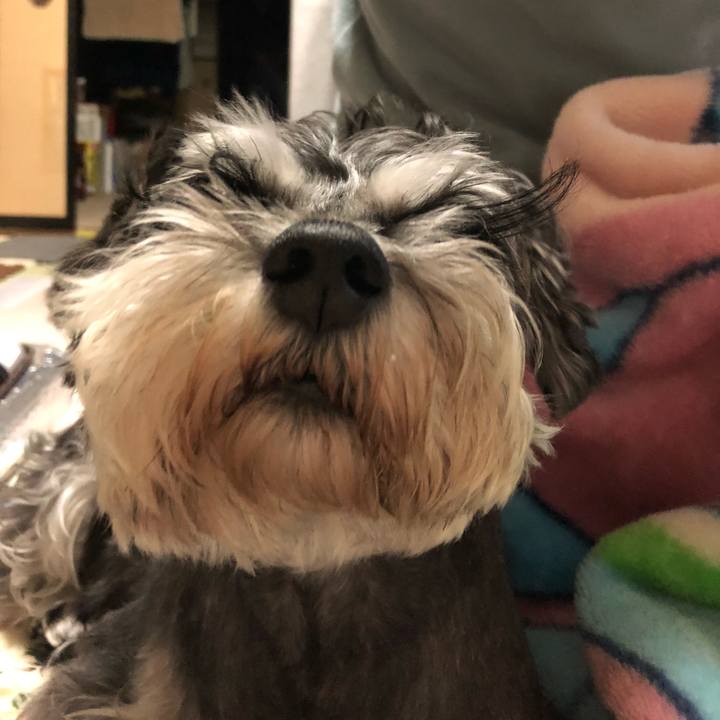 Dad69935 4f34 439d 85d0 85c9b810057a 1637839946103