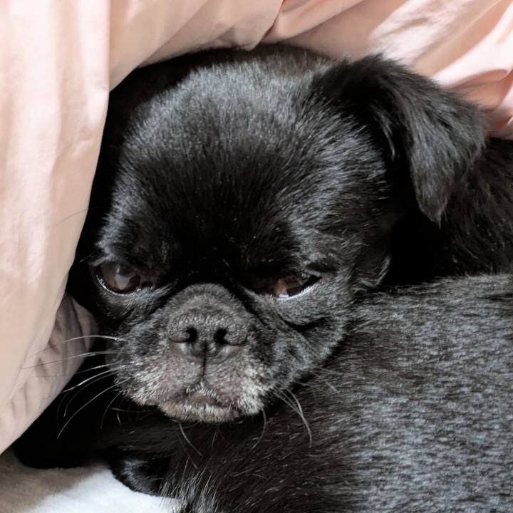 Dad6e356 56f8 4325 b6db 9869a05e3651 1774356202073