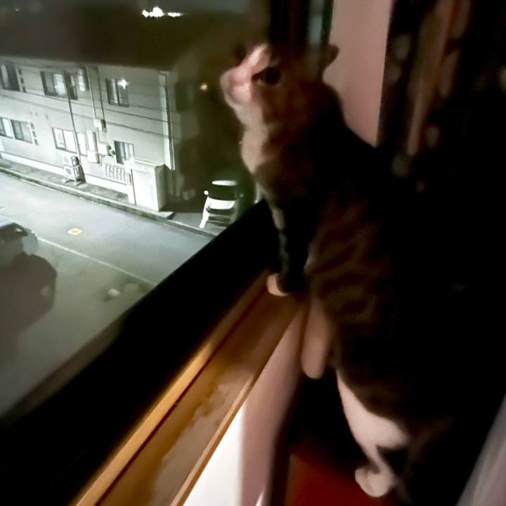 Dad6f63a 3538 4073 9570 0b5b26d60ca3 1750857473333