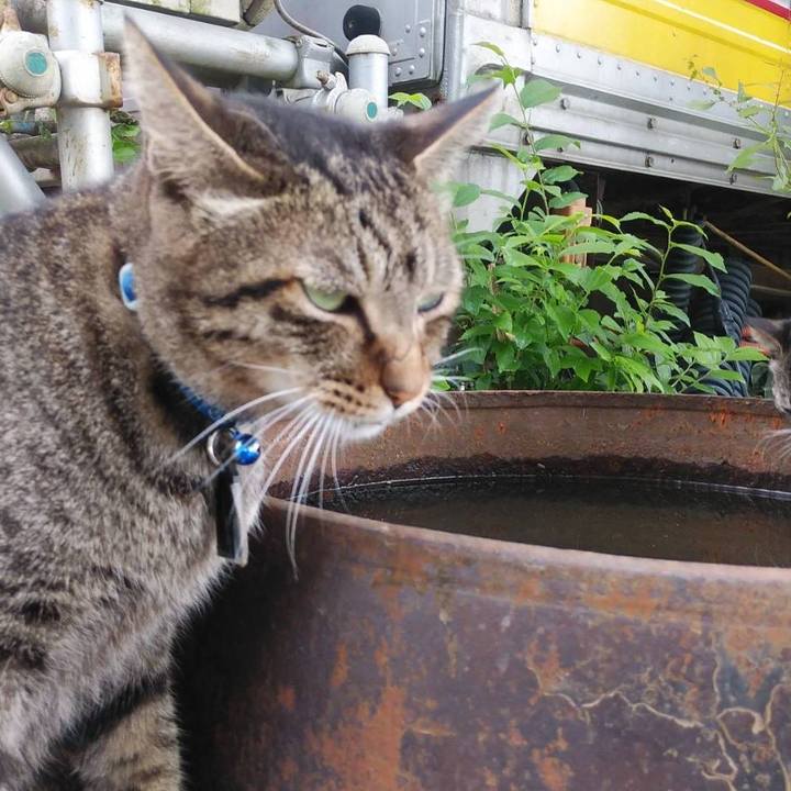 Dad7161d eb18 4be4 a31b 1db2df5b331d 1569285268079