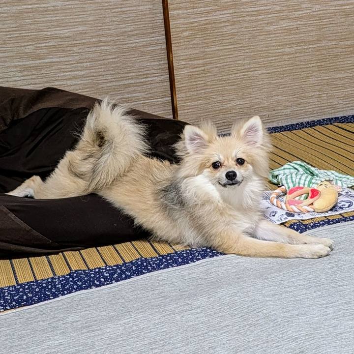 Dad7a113 f993 4c35 aa63 6cbdf4890945 1755251233158