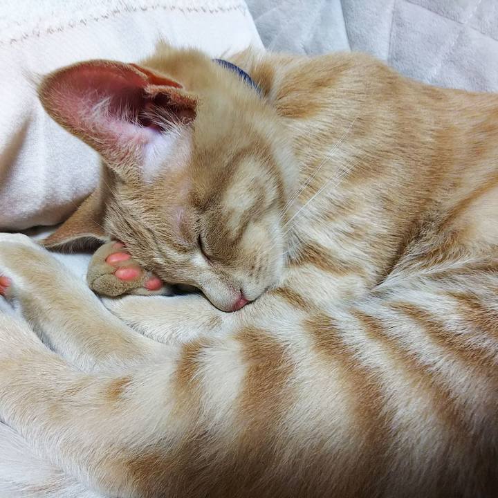 Dad7b566 32ef 4c66 adcd 129cdee96482 1545748319485