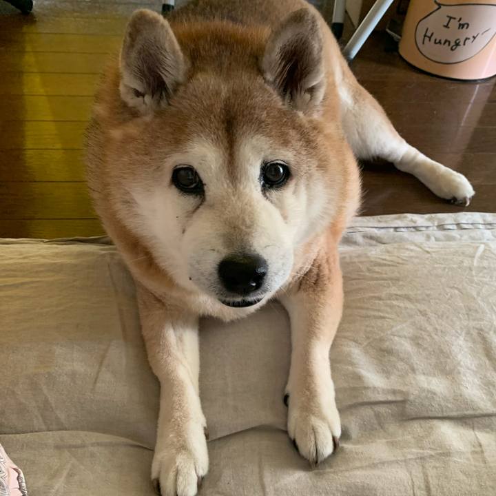 Dad7d50b 5897 4e6d 80f7 57646e95bd57 1627358521292