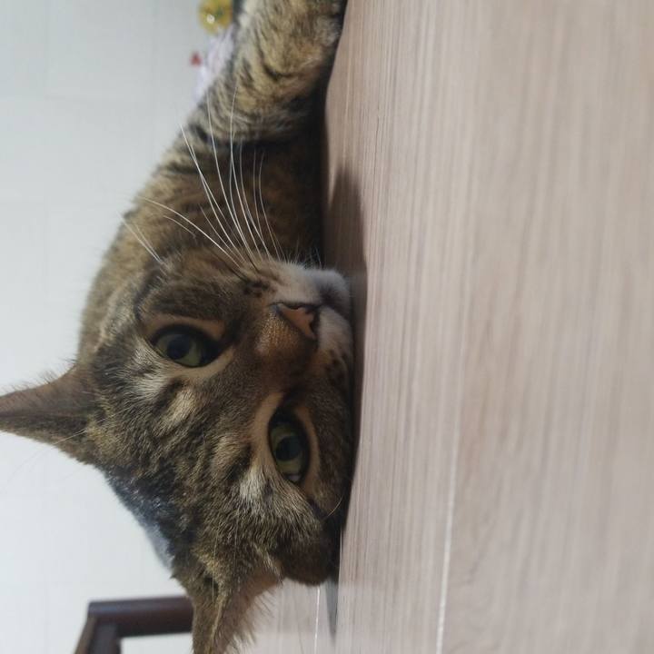 Dad7e8a6 fd1f 4967 8660 e16a4494cf54 1579697906385