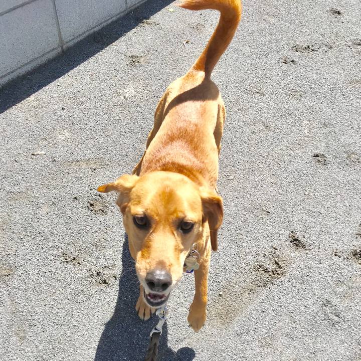 Dad80576 d3aa 436e 9d26 75c6caf1265a 1524705246337