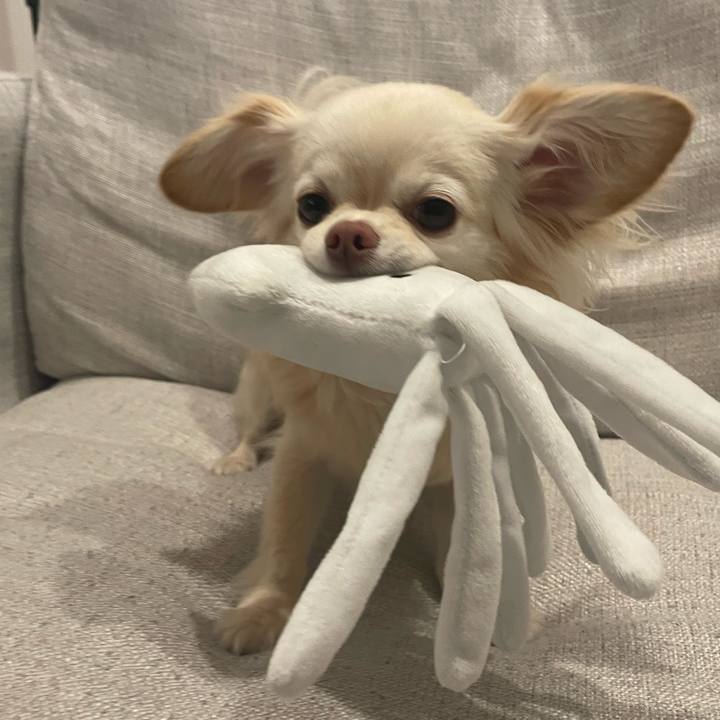 Dad80c30 299c 429c 82d5 1a66b74c559e 1710762979288