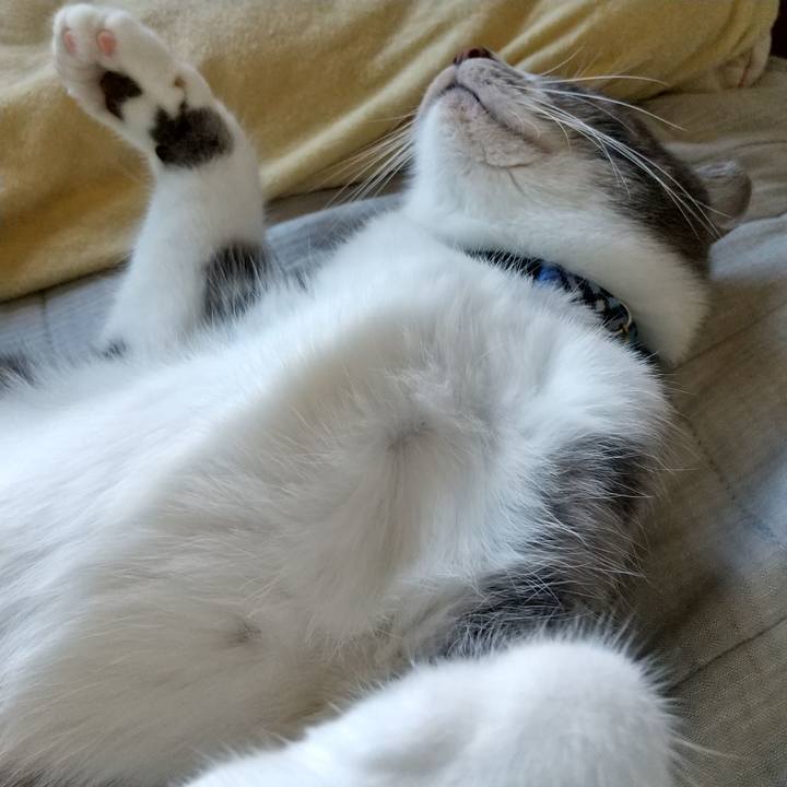 Dad81182 0ea3 4219 a9b9 db3cbb1f51a0 1599174928393