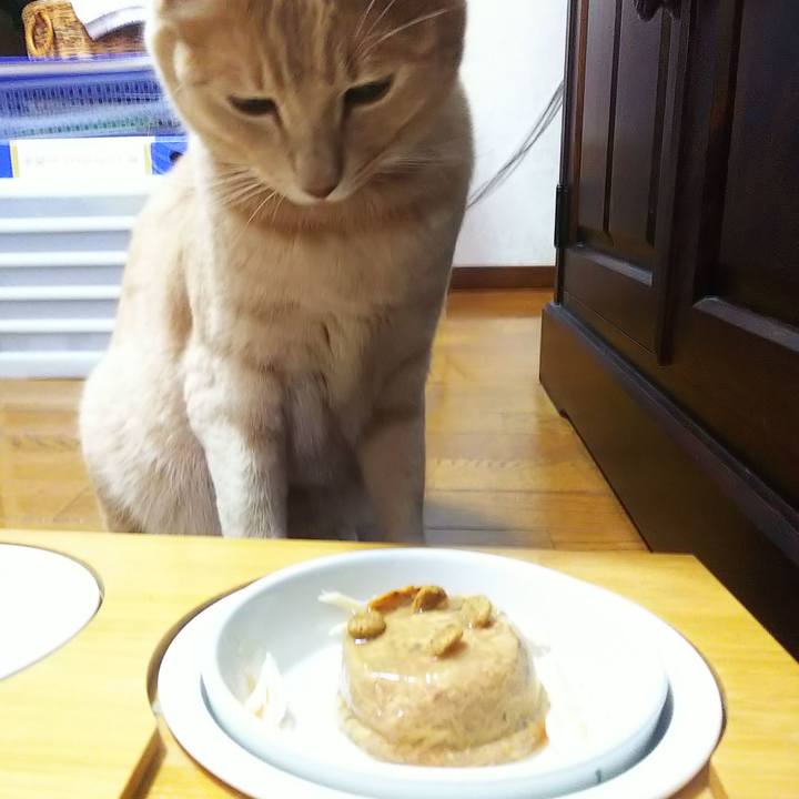 Dad81ad6 a650 4951 8cd9 84a6bcc7e01c 1661946923868