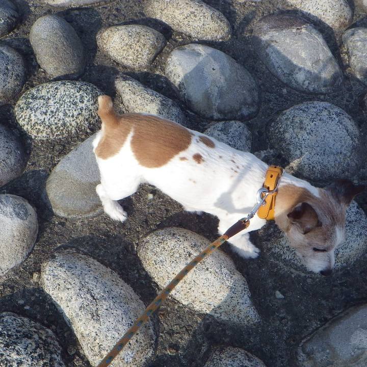 Dad838e8 0d8c 4c85 8920 143ad7b46887 1558439482798