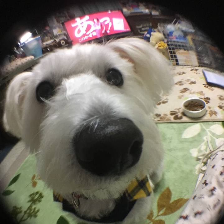 Dad8a663 b8fb 4516 8de9 002d18e627b8 1514041911170