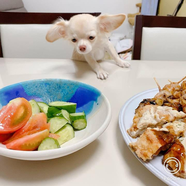 Dad9188c fc17 4681 b734 0de61b3e8057 1600778820802