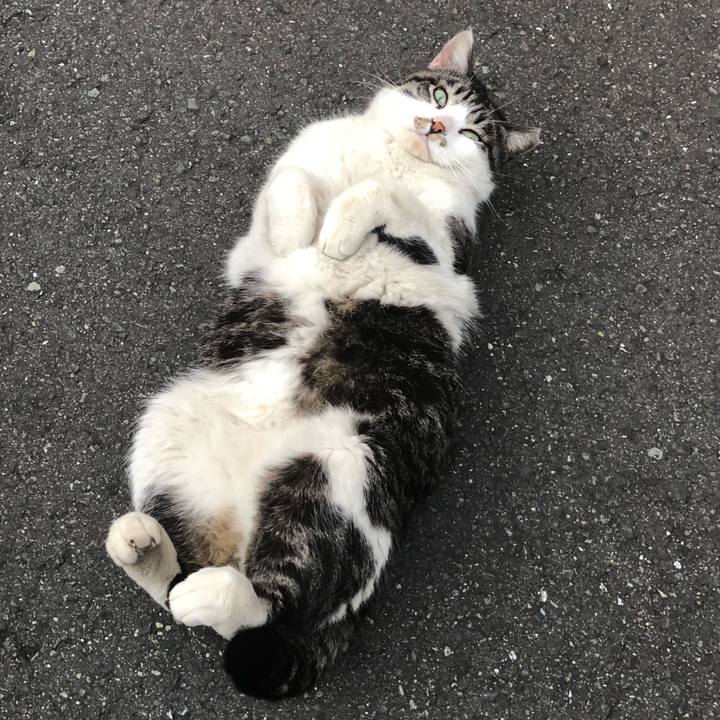 Dad926d1 d1ce 45b5 bad1 1aeb04f37336 1522056671514