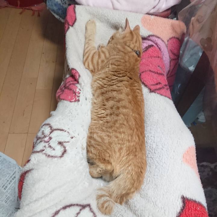 Dad953c4 7ba9 4299 b34a f561c4e15629 1651924513657