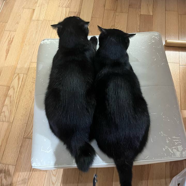 Dad9895a 4b1c 4298 af71 9b2fd35e2145 1743167427138