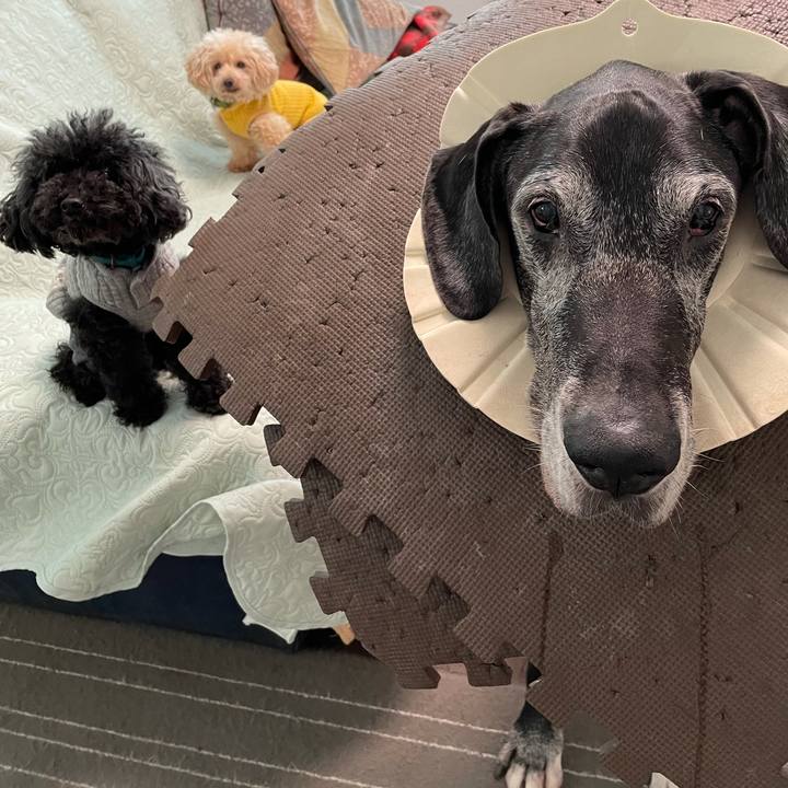 Dad99f58 6079 430d 857c 37eb540a1123 1636498518651