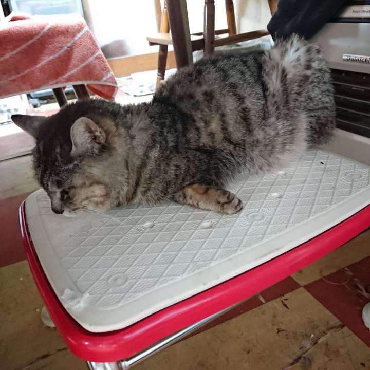 Dad9ea1c fe0f 4daa 9996 0ad3cc217d57 1589752119719