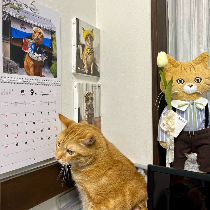 Dad9f2be 4897 4bc6 b0bf 4fb16022b03b 1693516244882