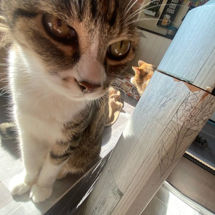 Dada09eb 2191 4dd8 972a c6fa9ec96a85 1636079284128