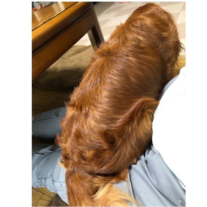 Dada0d98 676e 40e4 bec4 82649ad4e35f 1634075752954