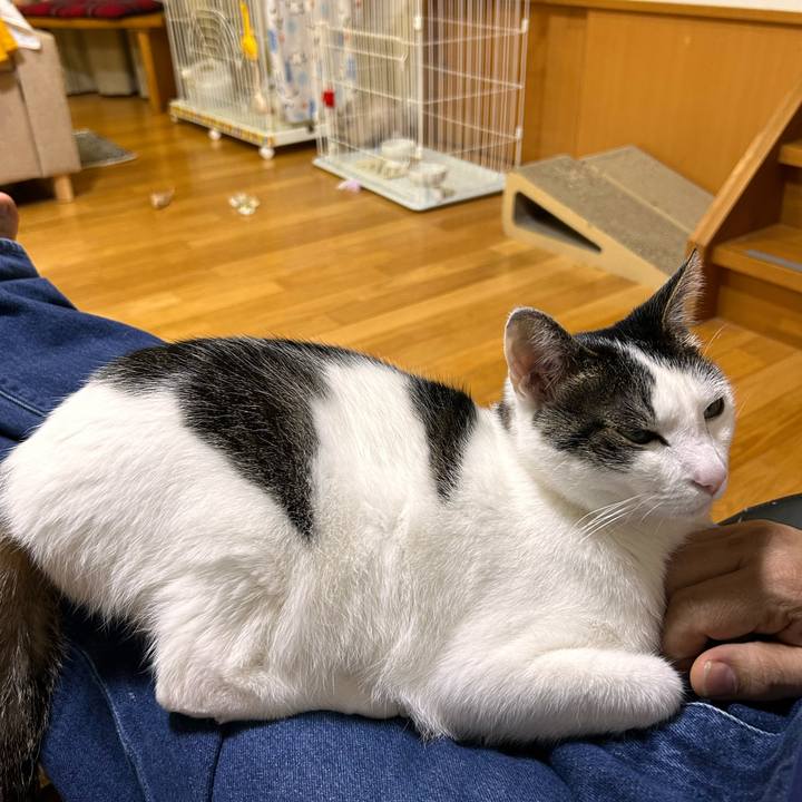 Dada329e 505e 400a ad02 8a35dbe89613 1748348118871