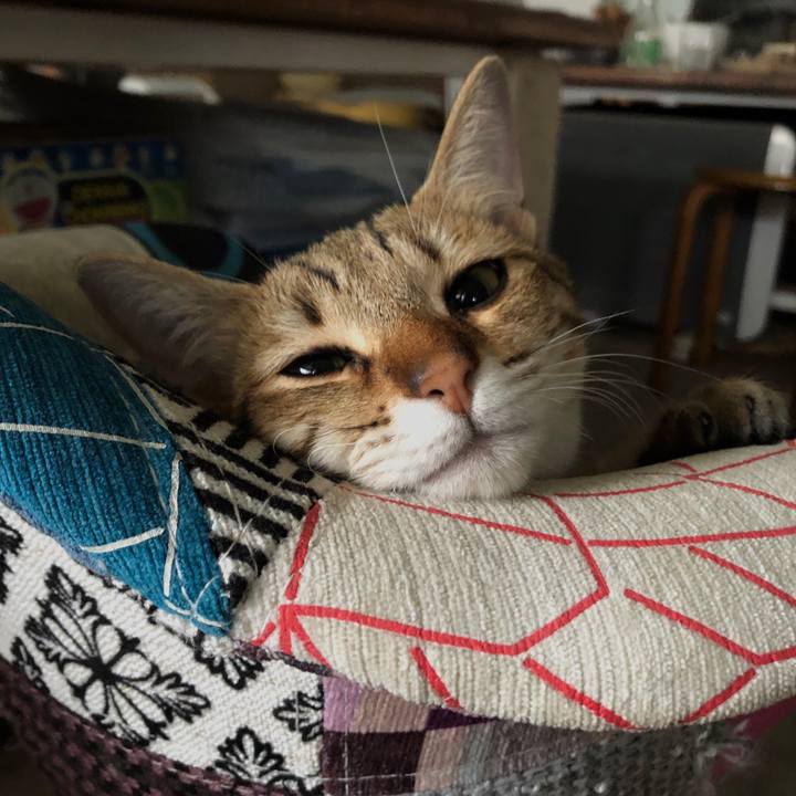 Dada51a3 f142 496b b011 c68f8d321b65 1585370353370