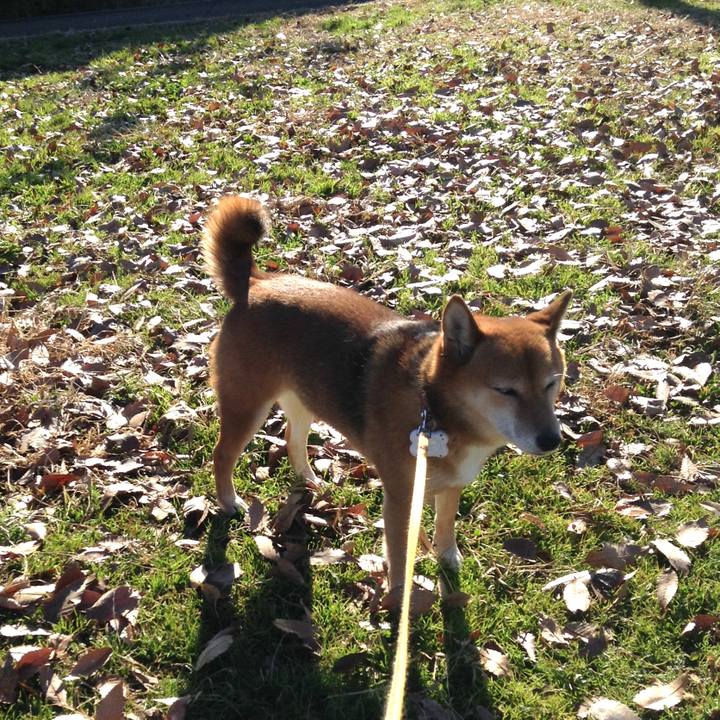 Dada6699 8a4f 4e64 a7c0 c4d14b9e0c0c 1512522896177