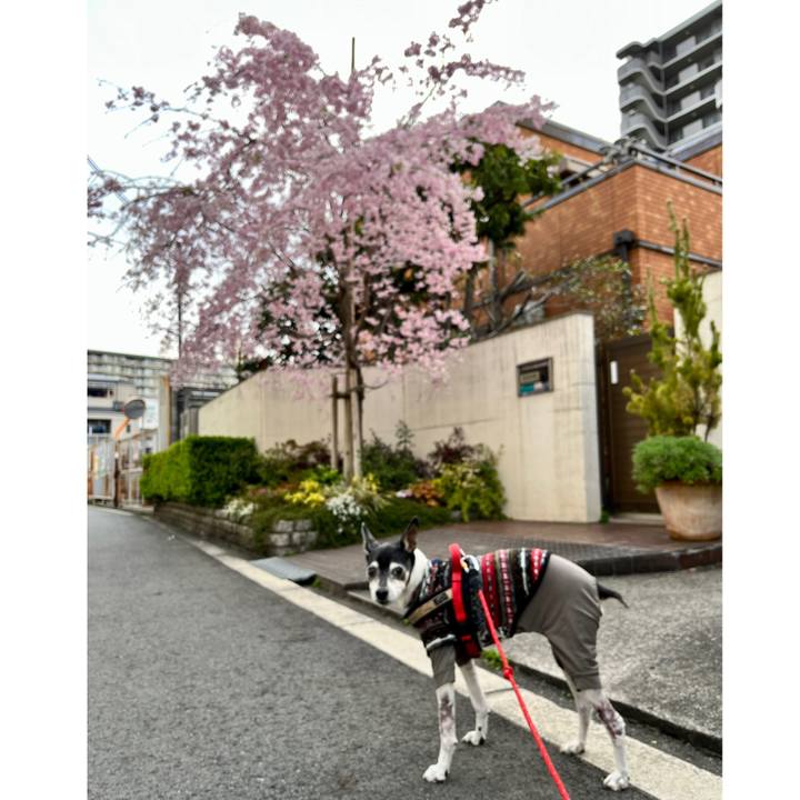 Dada8523 7ba6 4cf1 83df 14000ec79519 1649199373194