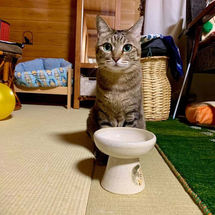 Dada85df 93e5 4a7f a143 f417e926e467 1611754475774