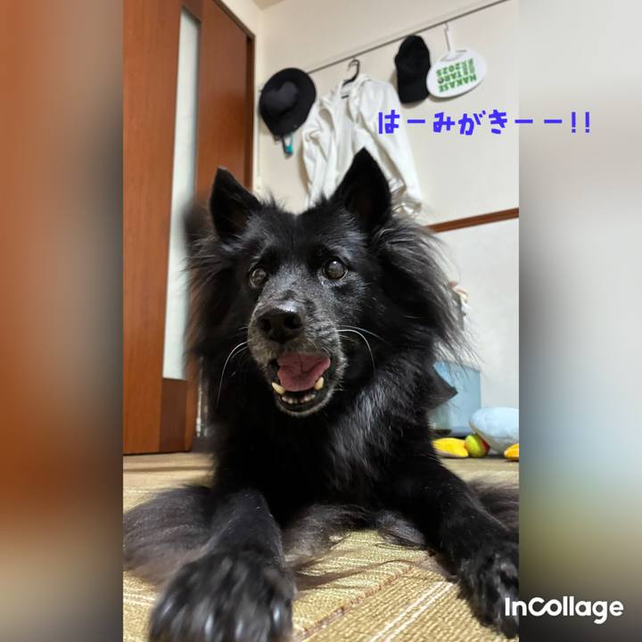 Dada8c2c b0d5 45ef b7e0 2d408af016b1 1754576880563