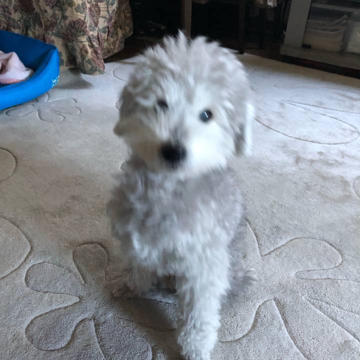 Dadaa8d8 29d1 4590 af49 6b0e22fb192f 1613605238774