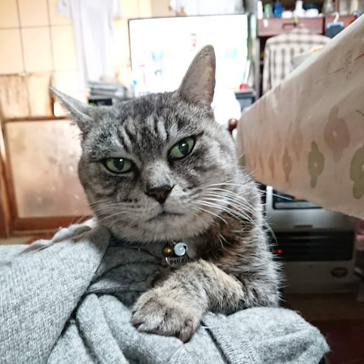 Dadadc1f 8ce5 4ebd 9dbf 0cdd48aacb86 1607892180013