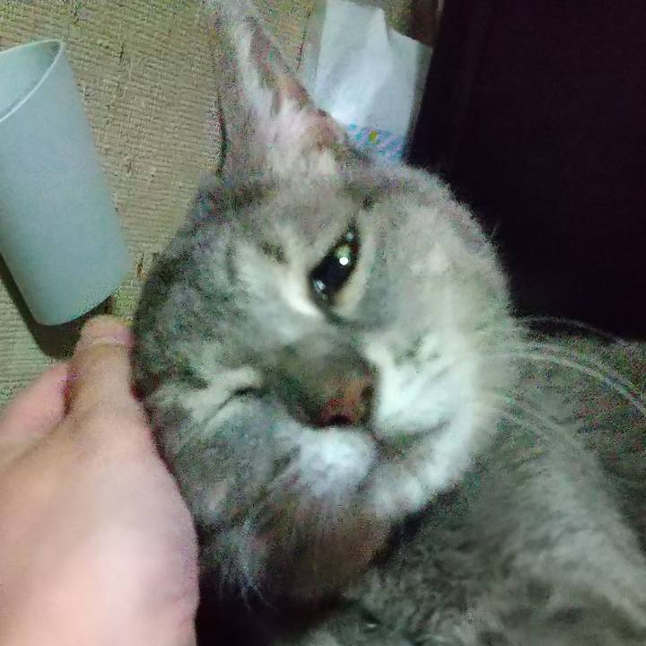 Dadaf01b d1b0 4404 a3dc 95df6c30c565 1694606566348