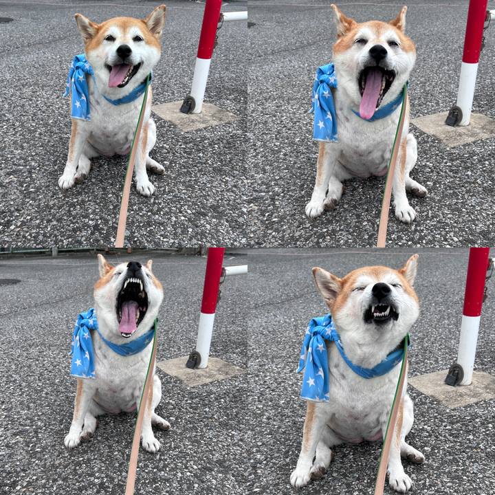 Dadaf525 67bc 40c1 952d f3a5eaffdccd 1726979915996