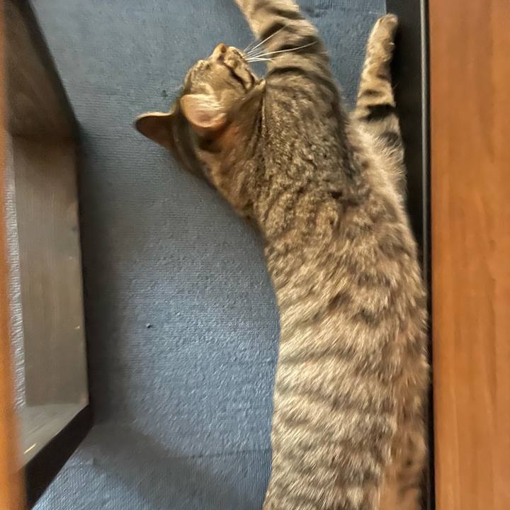 Dadb1cdc e8d9 4230 ab8c 55811aef1ae1 1757729213123