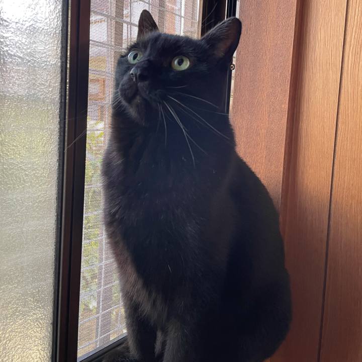 Dadb1fda 0386 4617 b914 01e768aff6b5 1611798220834