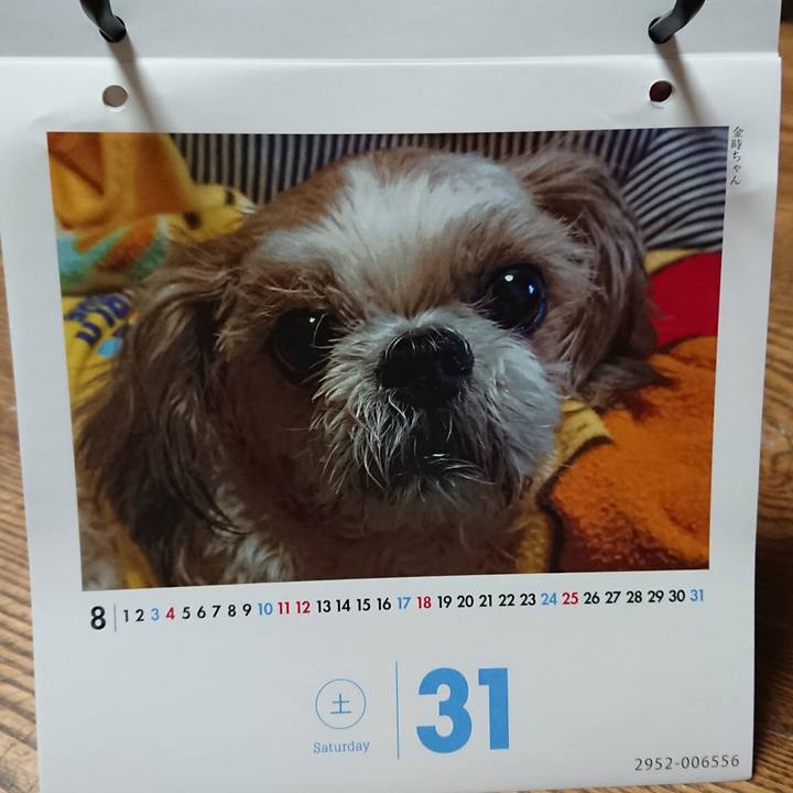 Dadb28e6 a13d 4e1b bbd1 b33eb556e961 1543570231846