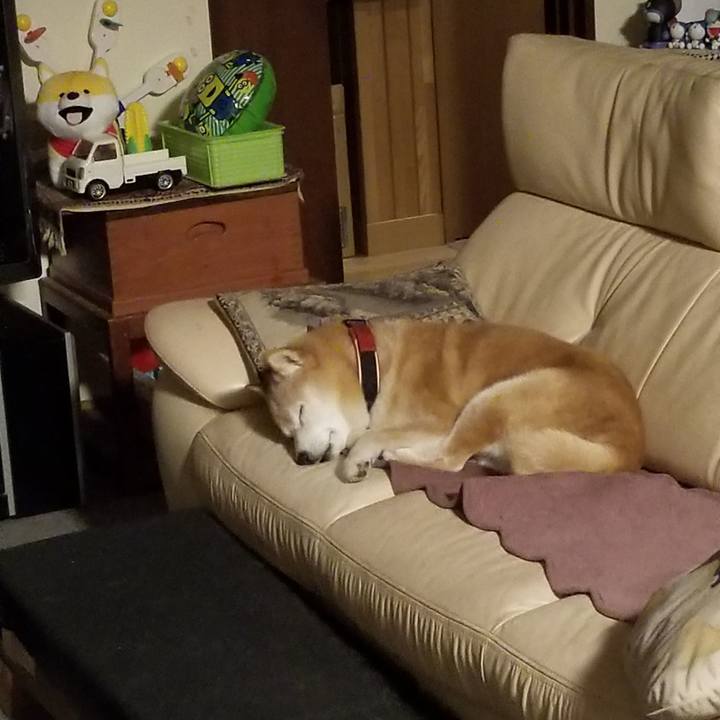 Dadb2c22 916e 45b6 b5f3 88dff13c79a1 1734471003670