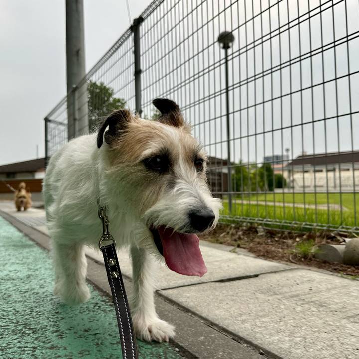 Dadb406e 844b 42bb bdfb 9617eb4bccbb 1749415853704