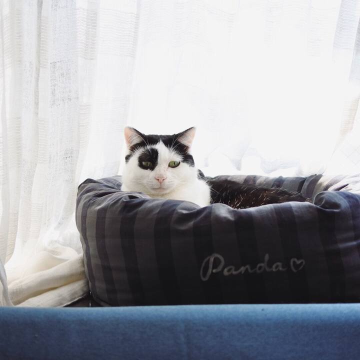 Dadb7a9d 97fb 4be5 83c7 6a7c37867861 1552795732943