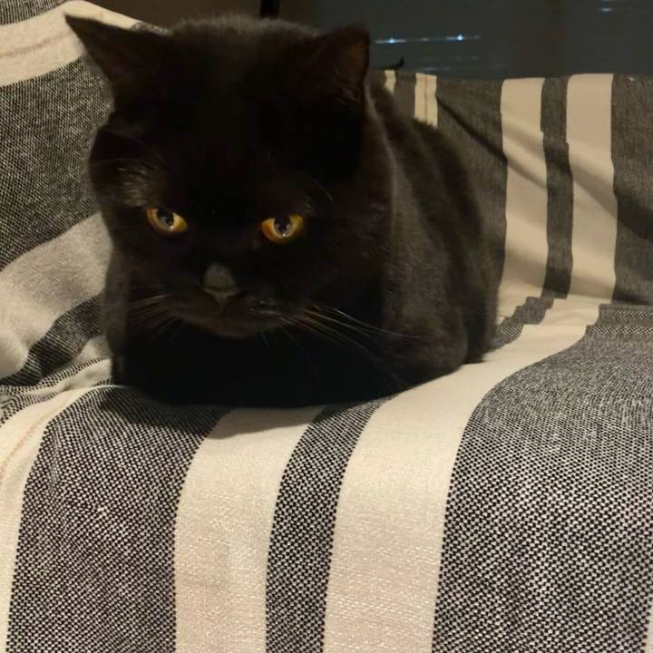 Dadb93a8 afeb 4354 ae93 b34a6830fdc4 1762938824680