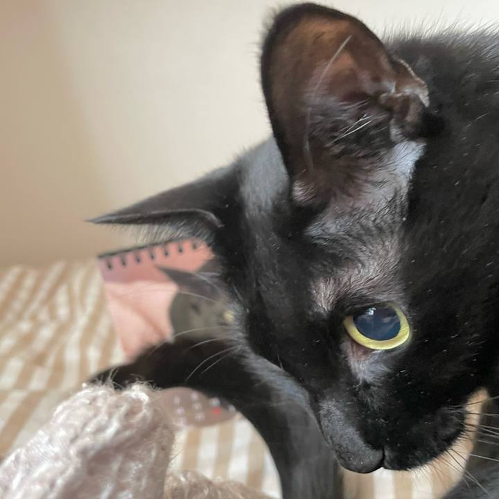 Dadbc084 2709 481a 80df 347edcd995f3 1644637667272