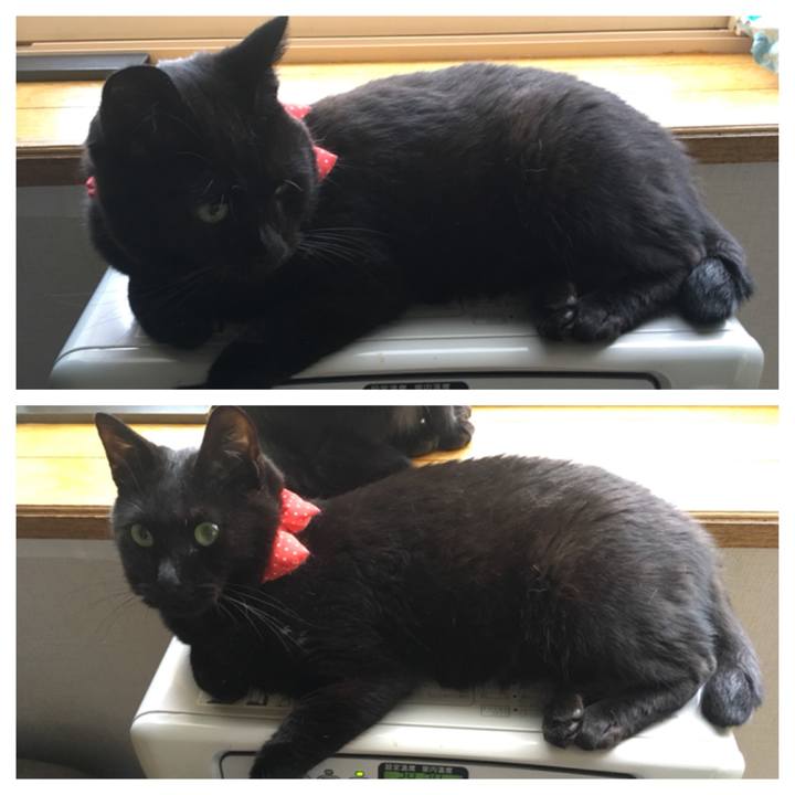 Dadbf823 4078 4cd1 8095 c0457338ec85 1537748444405