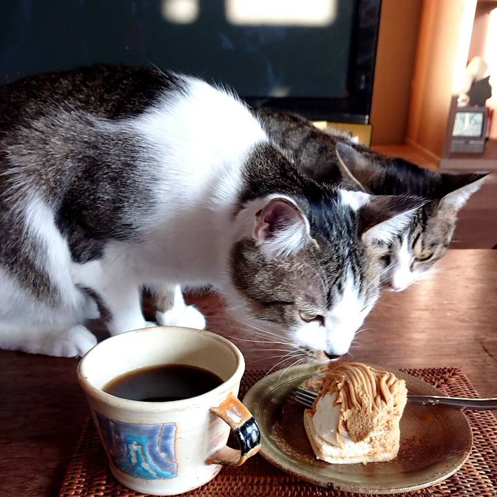 Dadc06bc c8ab 46d0 b31e ed3b7293b762 1582714388791