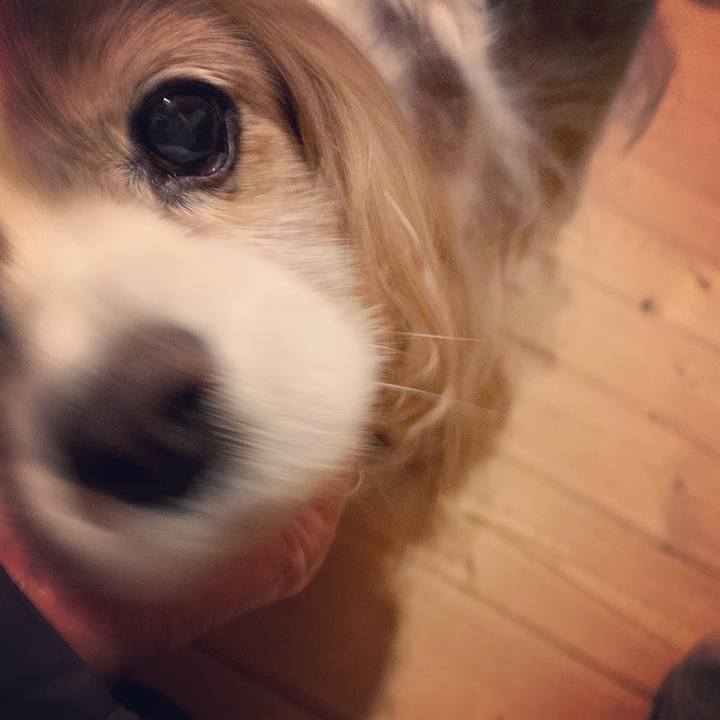 Dadc126d 32a9 4dff a946 5aaa72b82dd0 1579095210991